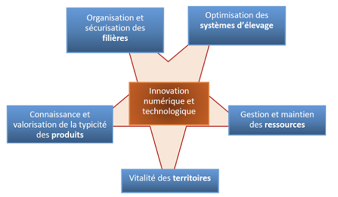 schema-lit