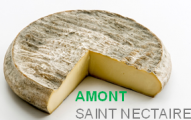 Amont_Saint_Nectaire-300x195